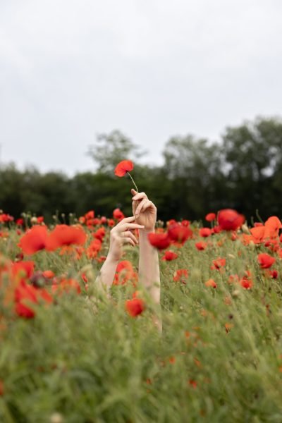Mojitoripictures Photographe Liège Belgique Minisession Champs Coquelicots Shooting Photo