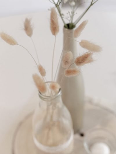 Mojitoripictures Photographe Liège Belgique Reportage Photo Mariage